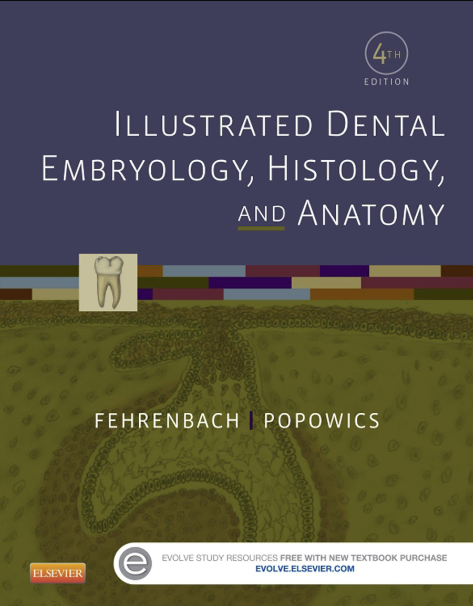 Book cover of Illustrated Dental Embryology, Histology, and Anatomy by Margaret Fehrenbach Book cover of Illustrated Dental Embryology, Histology, and Anatomy by Margaret Fehrenbach